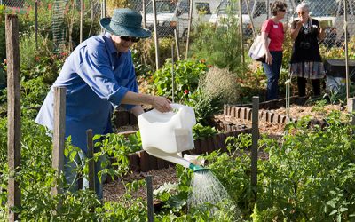 GSAC Community Garden Moora!