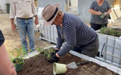 Tutorial: GSAC Wicking Garden Beds Workshop